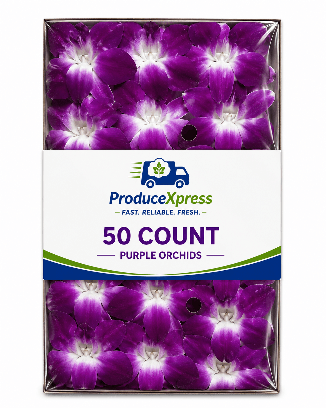 50 CT PURPLE ORCHIDS