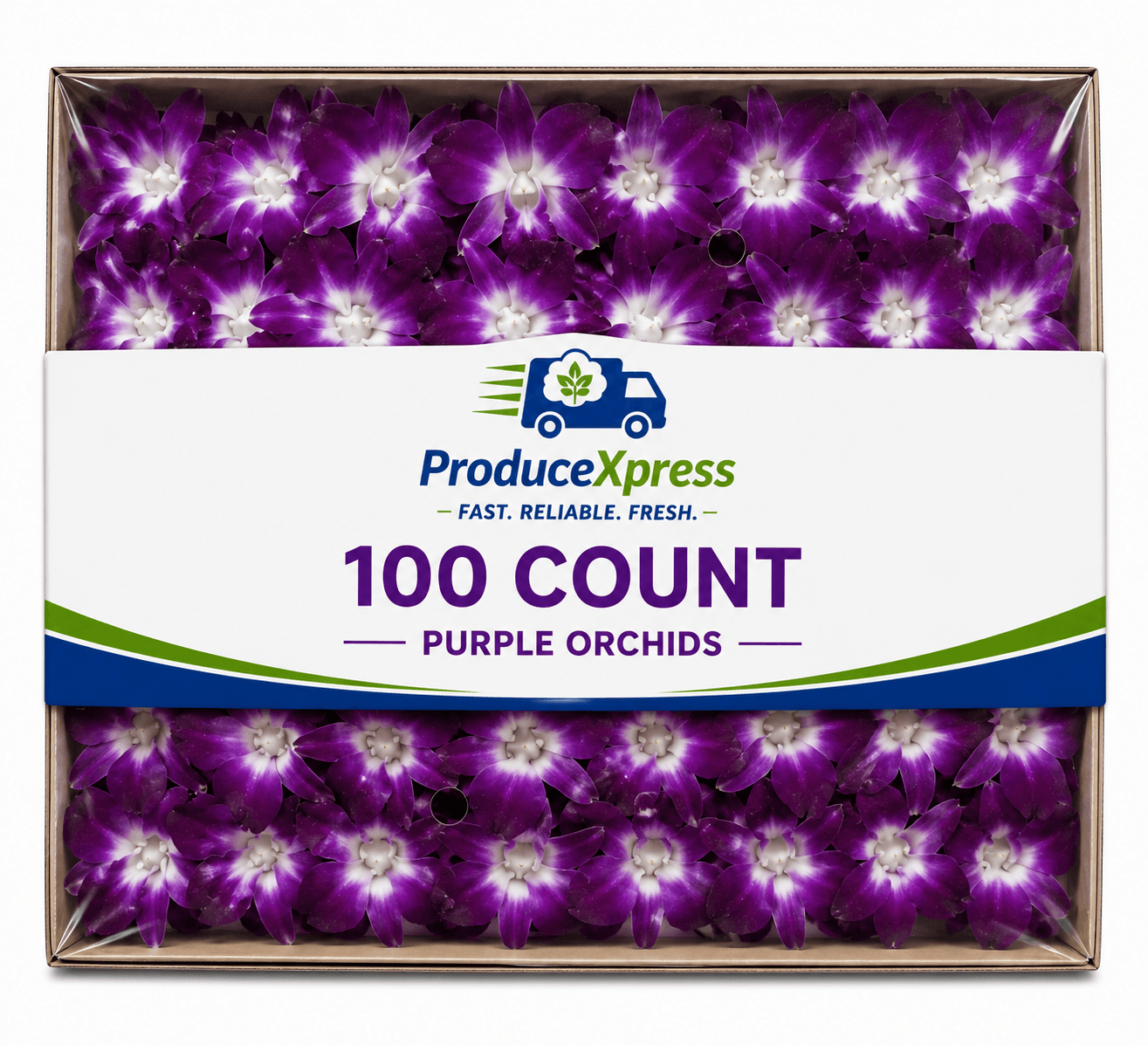 100 CT PURPLE ORCHIDS